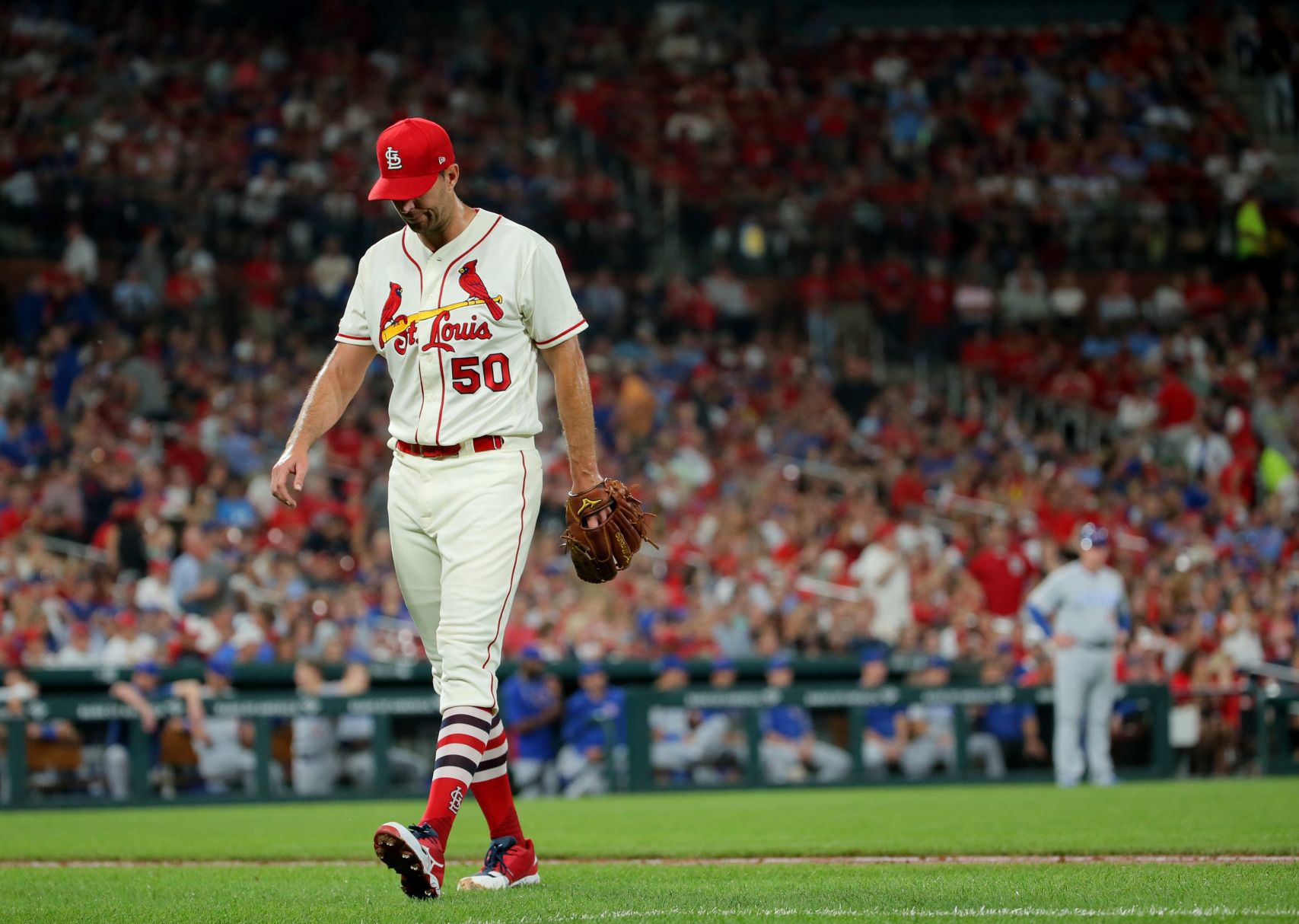Chicago Cubs vs St. Louis Cardinals